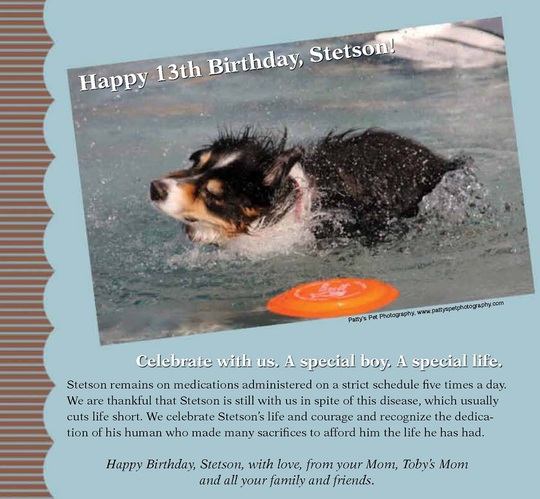 happy13stetson